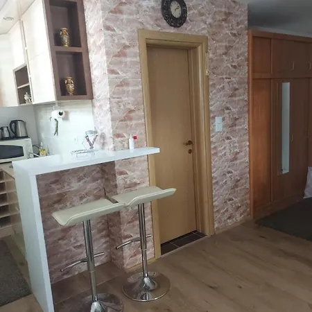 Kopaonik,suncana Dolina,apart-pavlovic Kopaonik